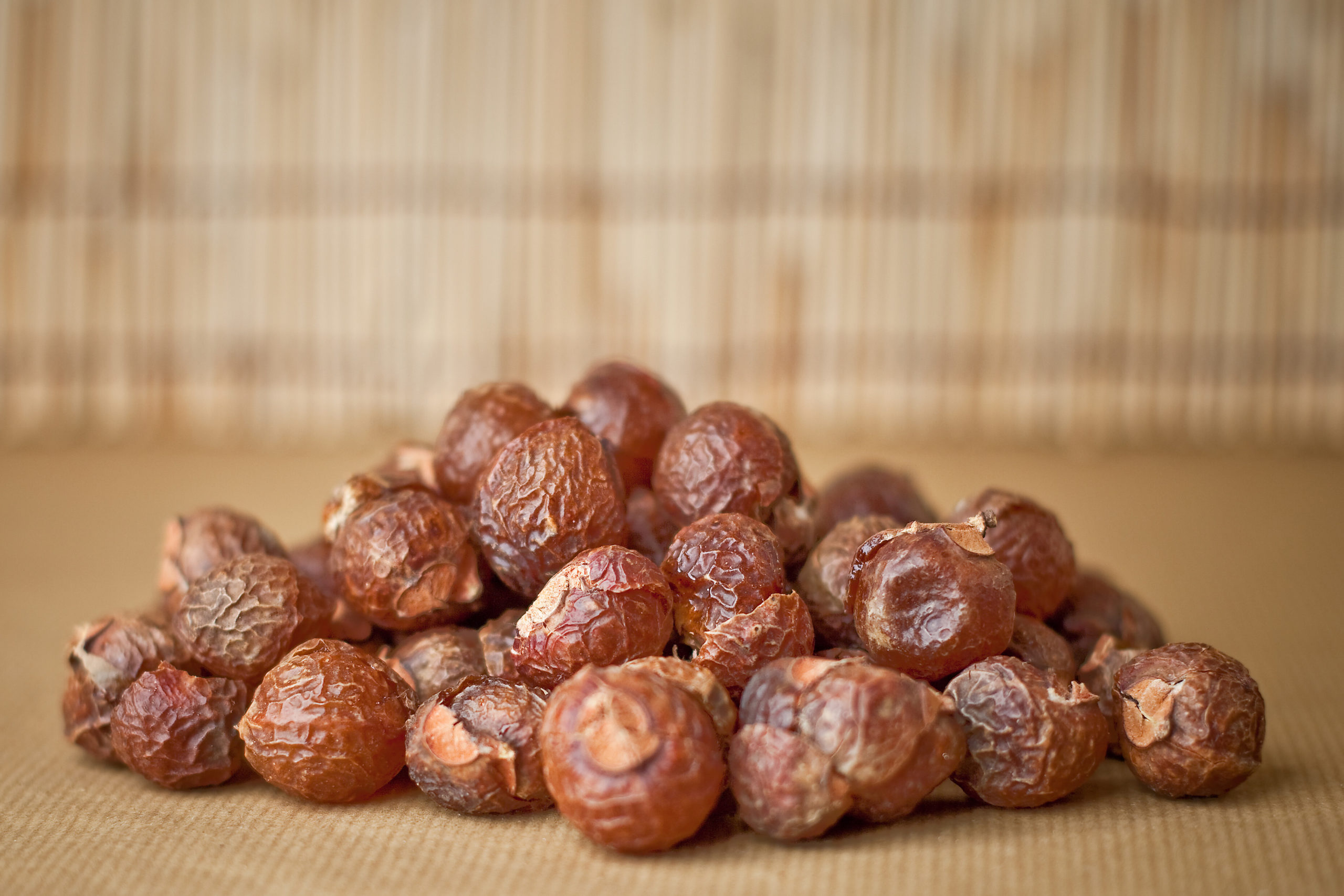 soap nuts